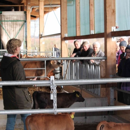 Größeres Bild ansehen