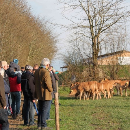 Größeres Bild ansehen