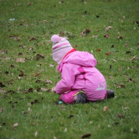 Größeres Bild ansehen