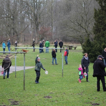 Größeres Bild ansehen