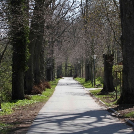 Größeres Bild ansehen