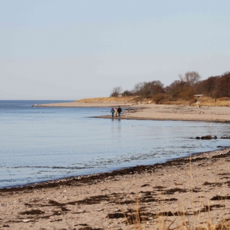 Größeres Bild ansehen